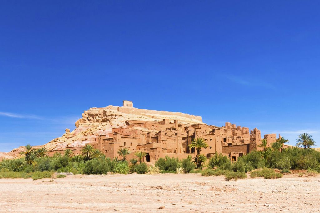 맑고 푸른 하늘을 배경으로 진흙 벽돌 건물과 야자수가 있는 고대 사막 요새입니다.