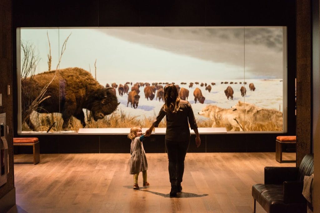 캐나다 자연 박물관