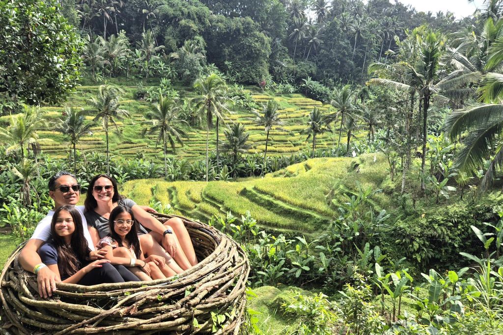 꿀벌 둥지 가족 사진