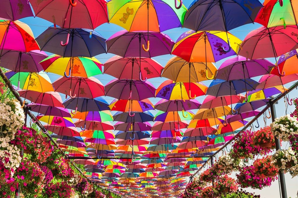 기적의 정원 - 사진 촬영 기회