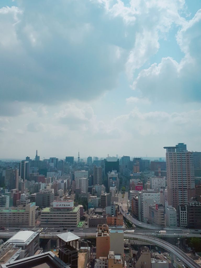 갤러리 이미지