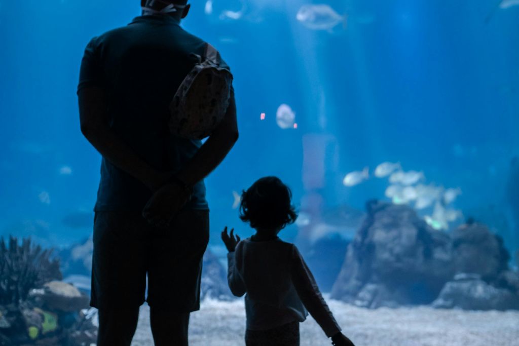 오세아나리오데리스보아 프라이빗 가이드 투어