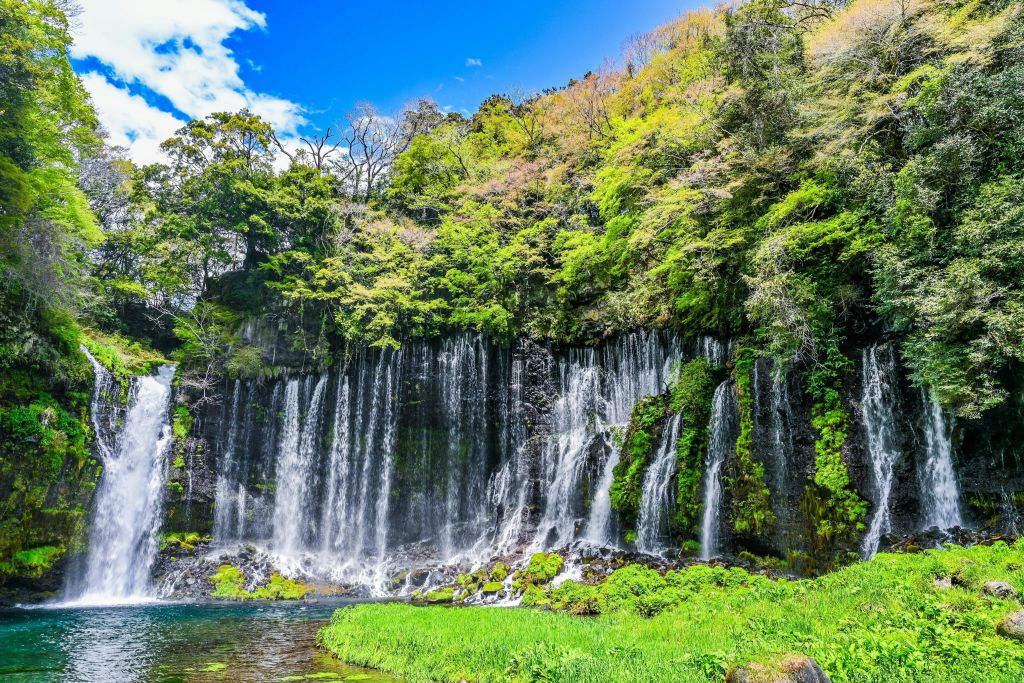 맑고 푸른 하늘 아래 울창하고 푸른 숲이 우거진 절벽을 따라 내려오는 고요한 폭포.