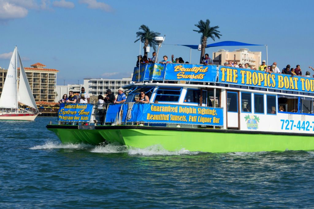 돌고래를 만나는 보트 투어