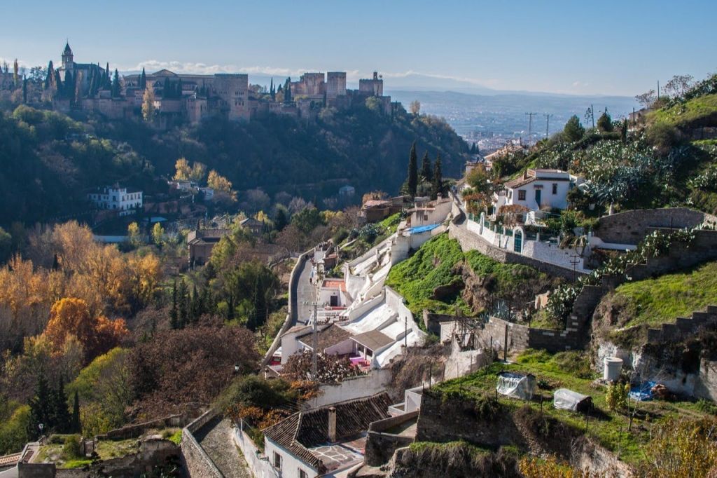 박물관 전망대에서 파노라마 전망 감상하기