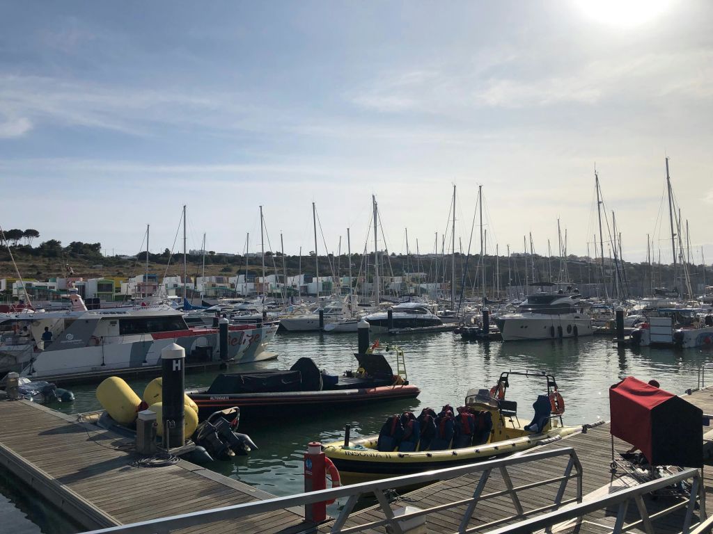 부분적으로 흐린 하늘 아래 범선과 모터보트를 포함한 다양한 선착장이 있는 선착장입니다.