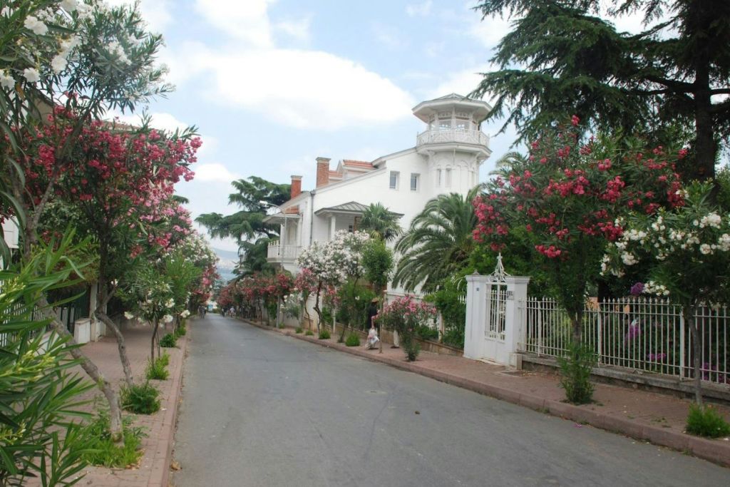 분홍색과 흰색 꽃이 흐드러지게 핀 가로수는 녹색으로 둘러싸인 탑과 흰색 대문이 있는 커다란 흰색 주택으로 이어집니다.