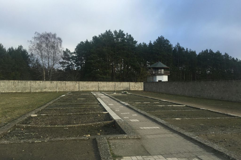 셀 블록이 남아 있고 타워를 감시합니다.