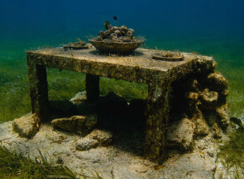 조개껍질이 담긴 커다란 그릇과 표면에 두 개의 작은 접시가 있는 조류로 덮인 수중 테이블.