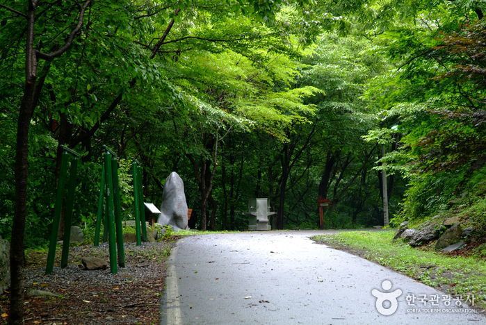 성주산 자연 휴양림