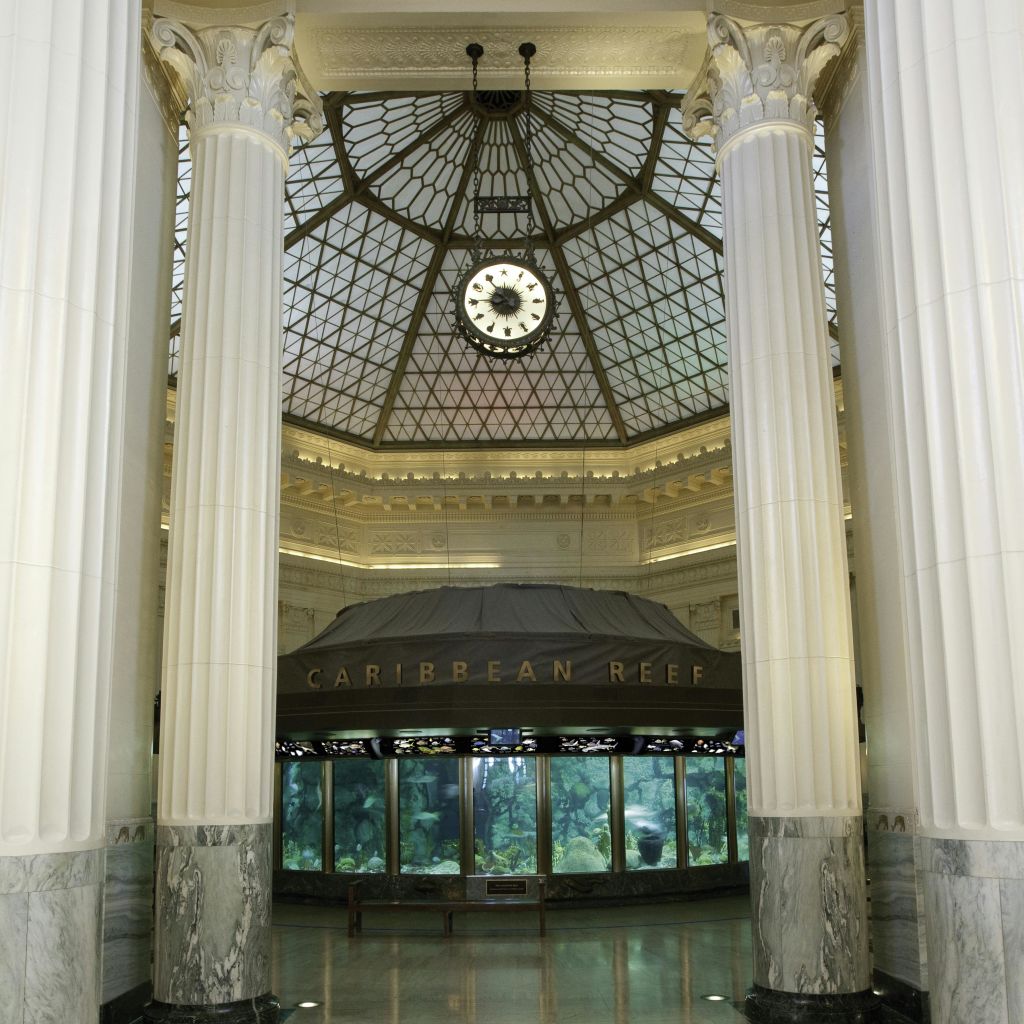 대리석 기둥, 커다란 시계, 유리 돔 지붕이 있는 그랜드 홀의 내부 전경은 "카리브해 산호초" 라고 표시된 수족관을 보여줍니다.