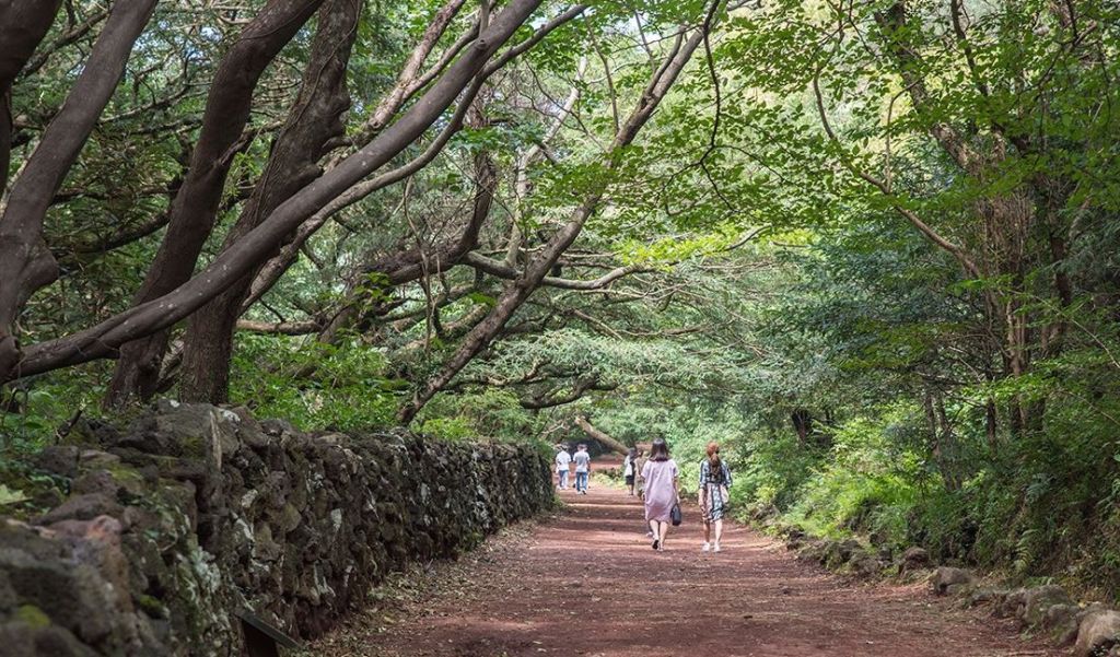 済州島の大自然で森林セラピー