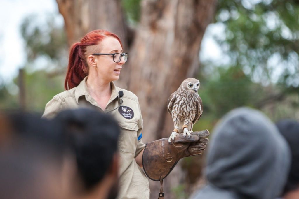 콘서베이션 인 액션 쇼