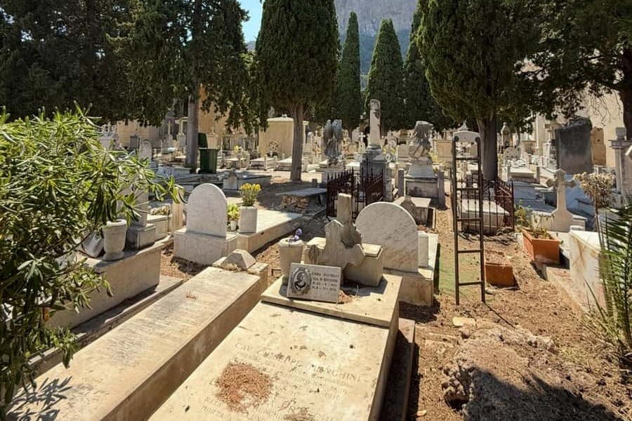 다양한 묘비와 무덤 마커, 조각상이 있는 공동묘지로, 높이 솟은 편백나무로 그늘이 지어져 있습니다.