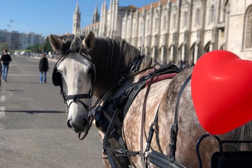 모스테이루두스헤로니모스