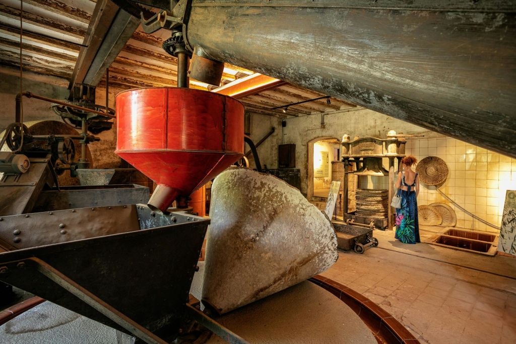 마스델미우 오일 박물관. 사마 공원. 캄브릴스