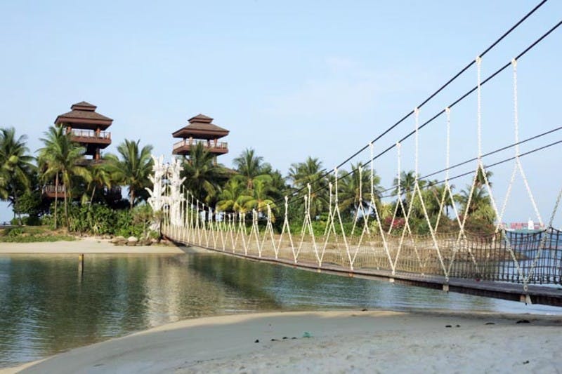 야자수와 목조 구조물이 있는 열대 지역으로 이어지는 물 위로 밧줄 다리가 이어집니다. 배경은 맑은 하늘.