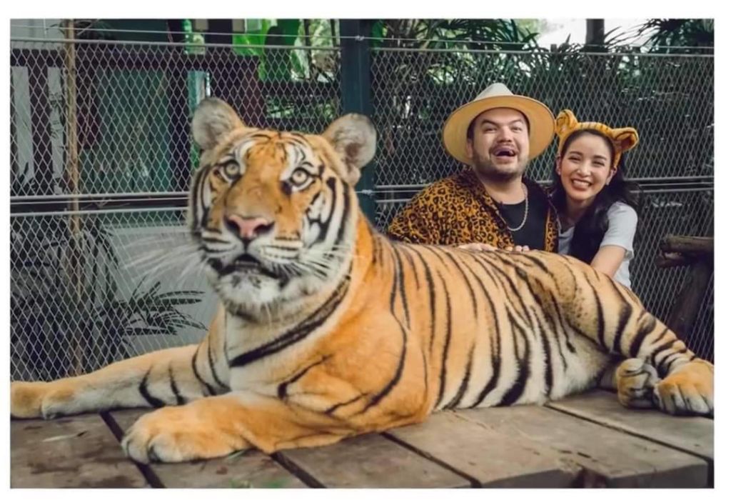 [파타야] 타이거 파크