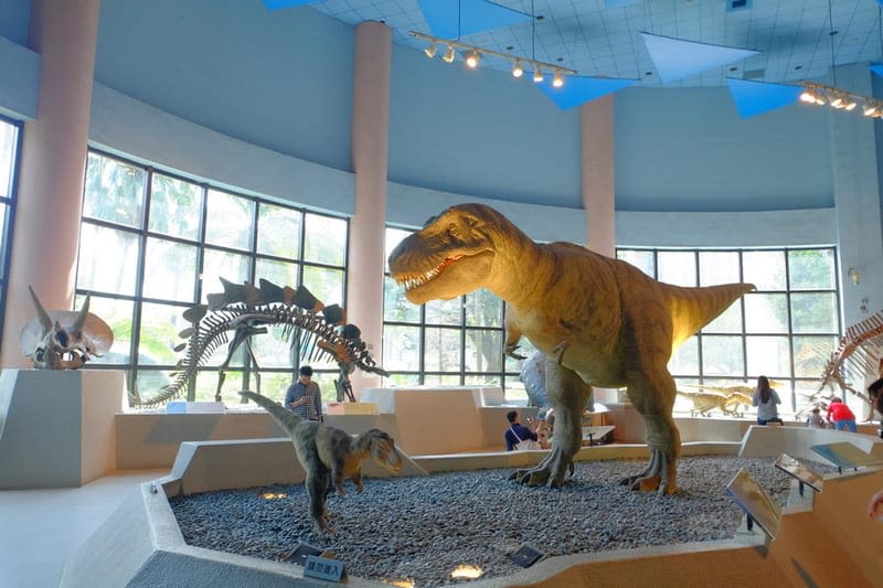 국립 자연 과학 박물관