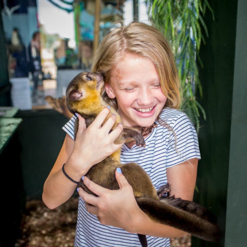 녹음이 우거진 실내 환경에서 금발의 소녀가 귀에 거슬리는 작고 갈색의 동물을 안은 채 웃고 있습니다.