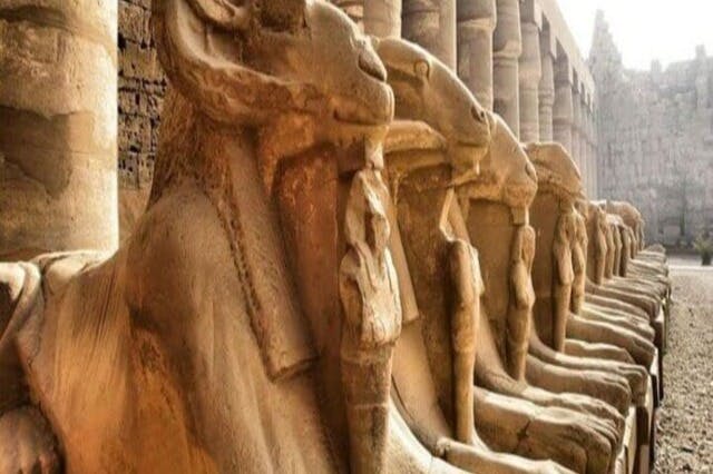 파라오 양 조각상