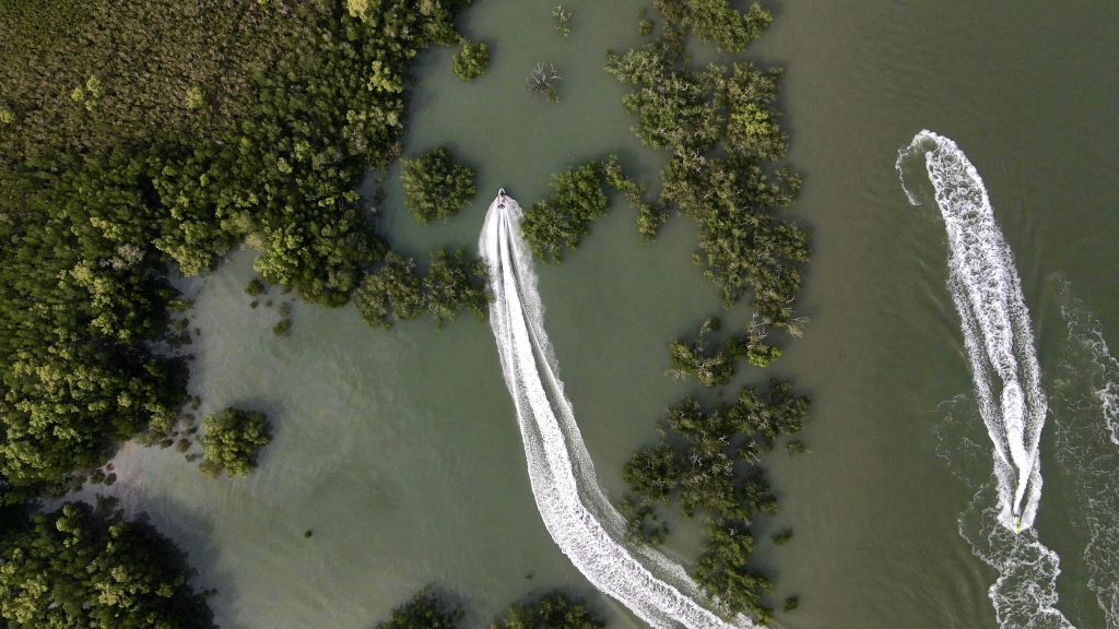 맹그로브 덩어리로 둘러싸인 초록빛 바다를 거닐며 깨어나는 보트의 공중 전망.