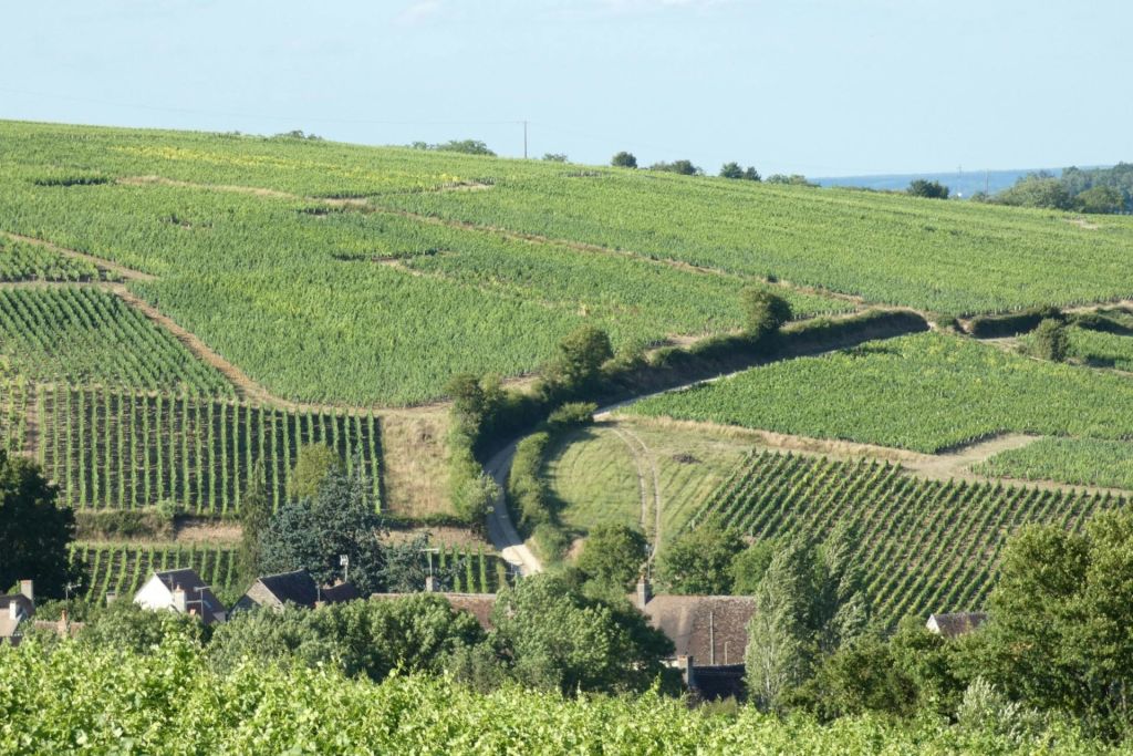 제공된 텍스트는 언어가 아니며 마침표 기호일 뿐입니다.