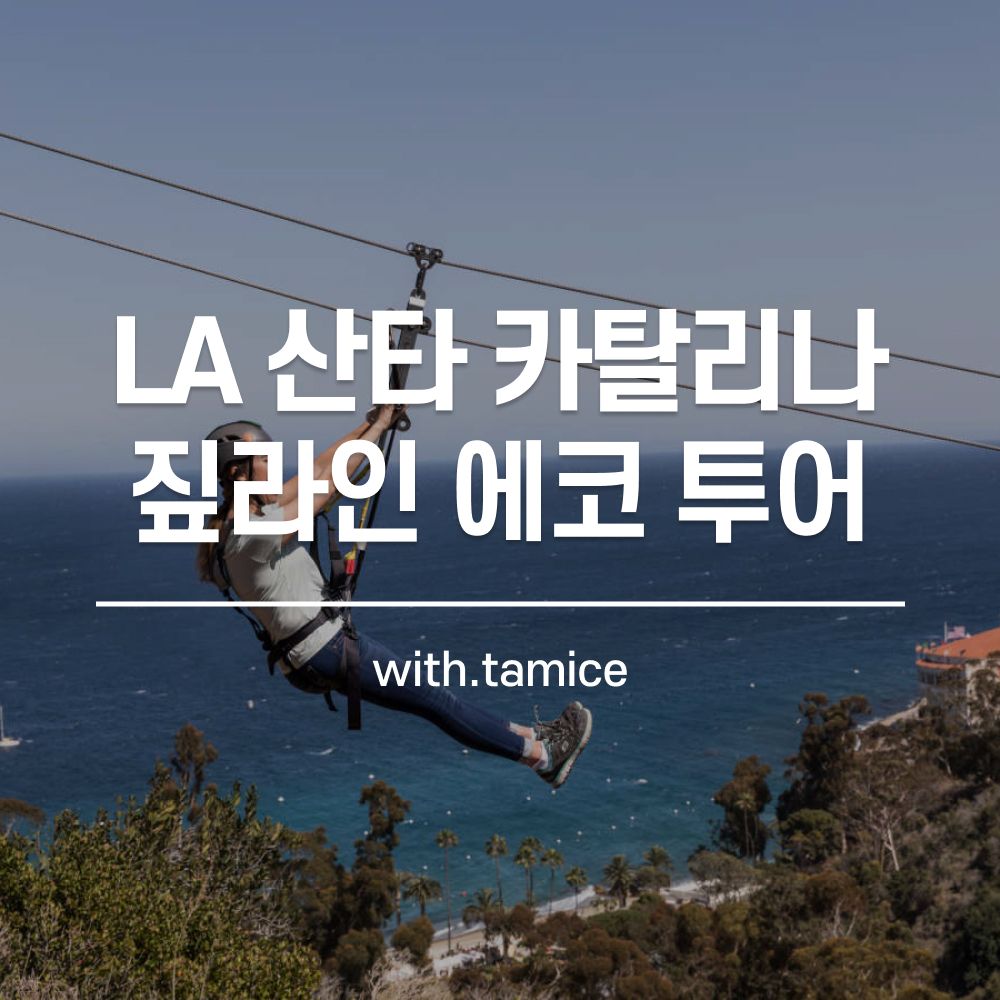 [타미스] LA 산타 카탈리나 섬 짚라인 에코 투어