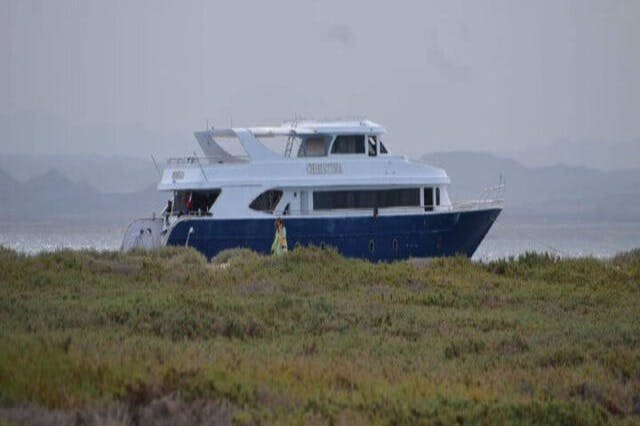 이집트 홍해, 마라알람, 하마타섬에서 즐기는 스노클링