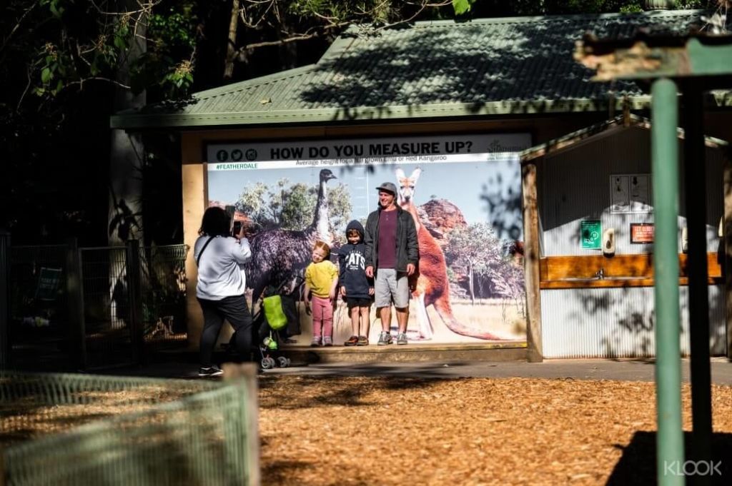 Featherdale Sydney Wildlife Park에서 평생 잊지 못할 추억을 만들면서 호주의 상징적인 동물들과 함께 놀라운 사진을 찍으세요.