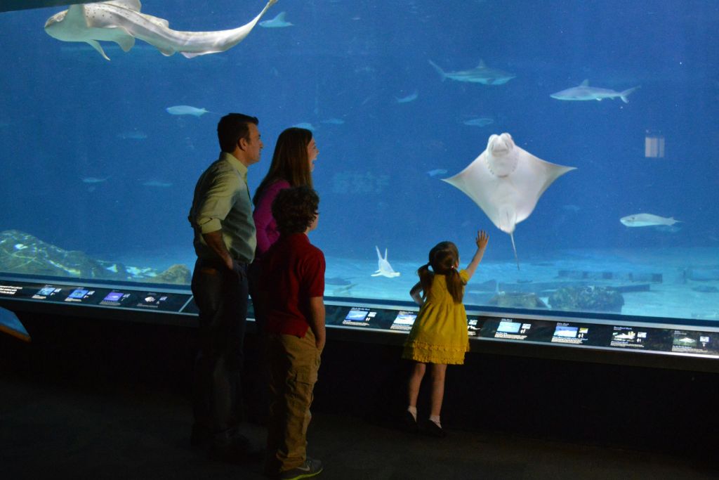 어드벤처 아쿠아리움