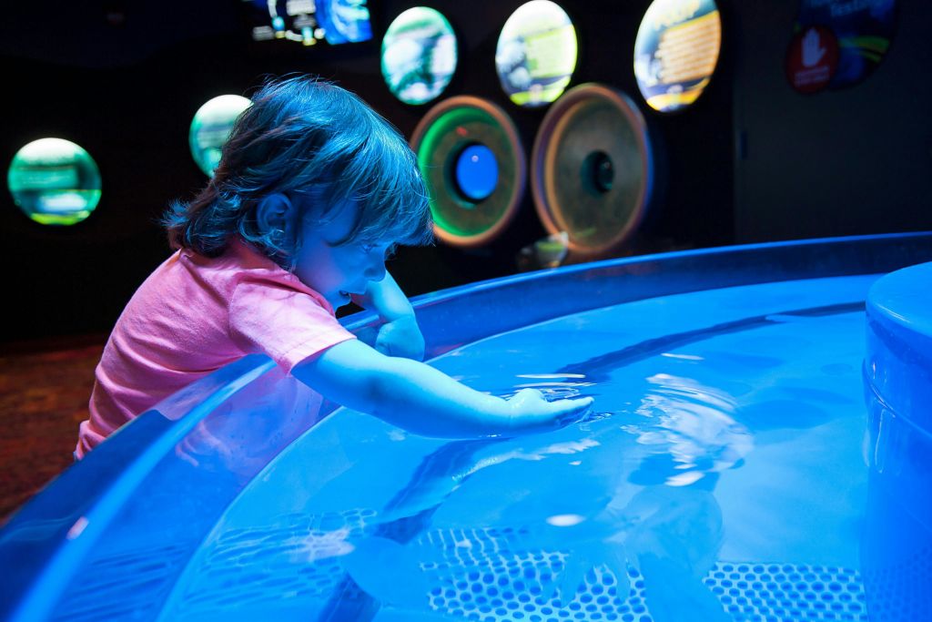 리플리스 아쿠아리움 오브 머틀 비치 + 명소 2곳 콤보