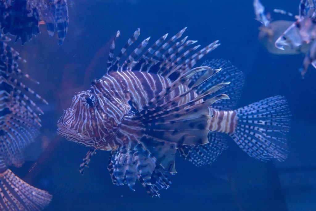 에마르 수족관 & 수중 동물원