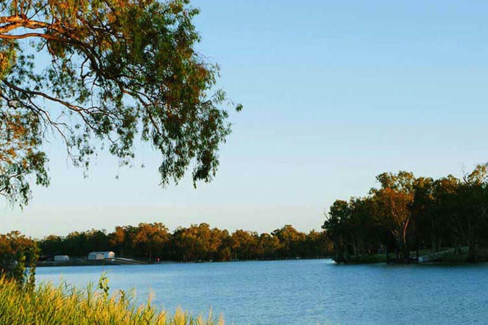 머레이강 일일 투어 + 크루즈 (애들레이드 출발)