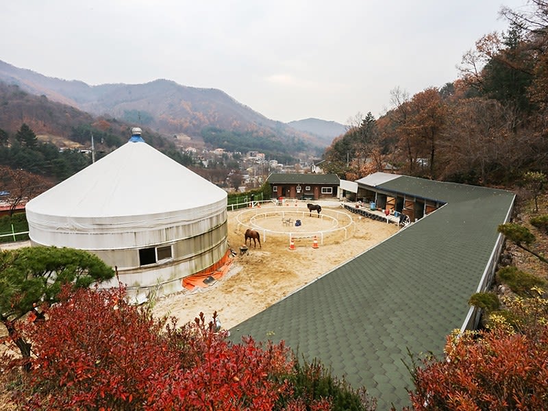 남양주 시즌파이브펜션 팁 & 고려사항 이미지