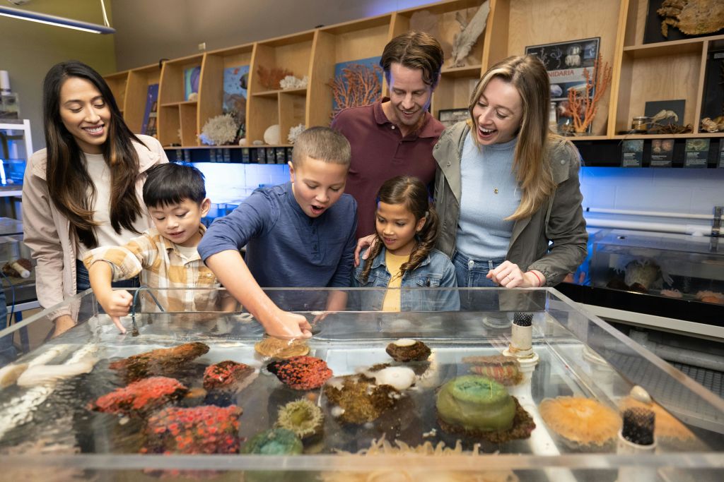 밴쿠버 아쿠아리움