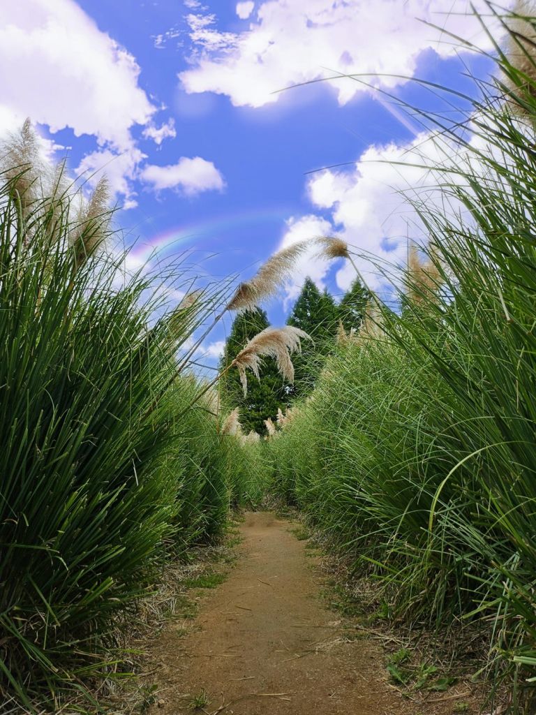 청산 수목원