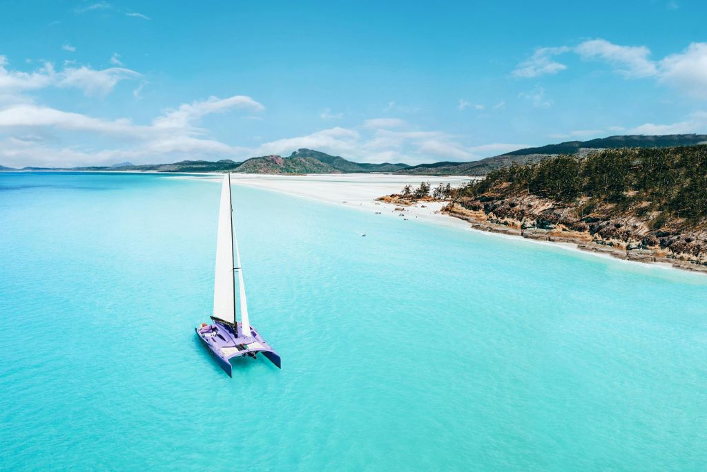 푸른 하늘 아래 언덕과 나무를 배경으로 모래 해변 근처에서 하얀 돛이 청록색 바다를 활보하고 있습니다.