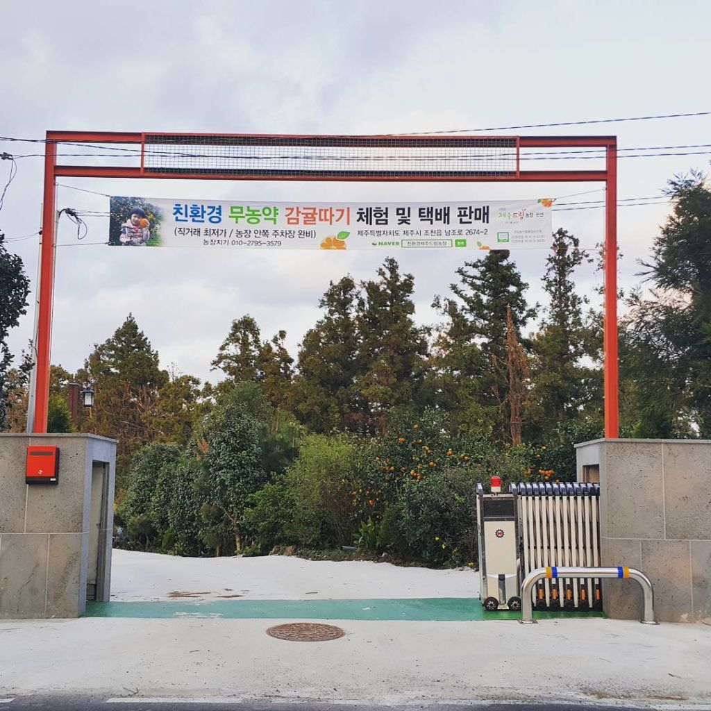친환경 제주 드림 농장