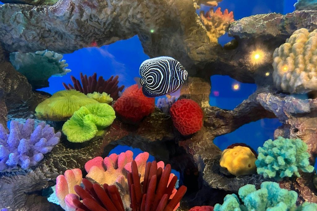 리플리스아쿠아리움오브더스모키스