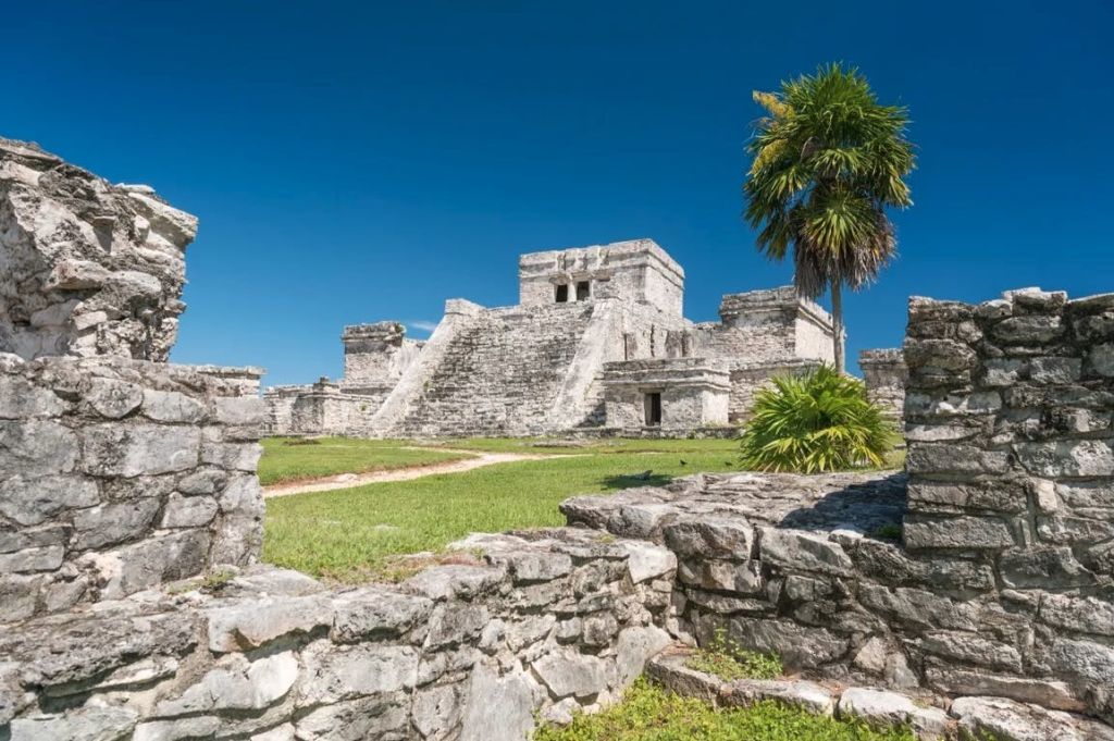 맑고 푸른 하늘 아래 계단식 피라미드와 야자수가 있는 고대 석조 유적지.