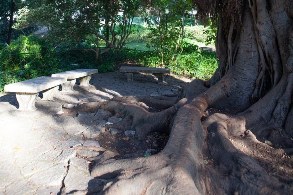 리스본 에스트렐라 공원
