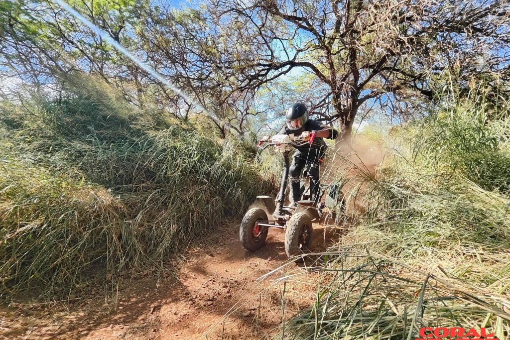 빽빽한 풀과 나무 사이로 흙길을 따라 전천후 차량을 타고 먼지를 걷어차는 사람. 화사하고 화창한 날.