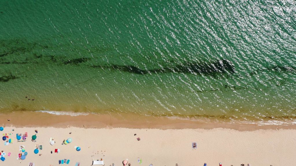 모래사장에서 일광욕을 즐기는 사람들과 해안에 부딪히는 맑은 녹색 파도가 있는 해변의 공중 전망.