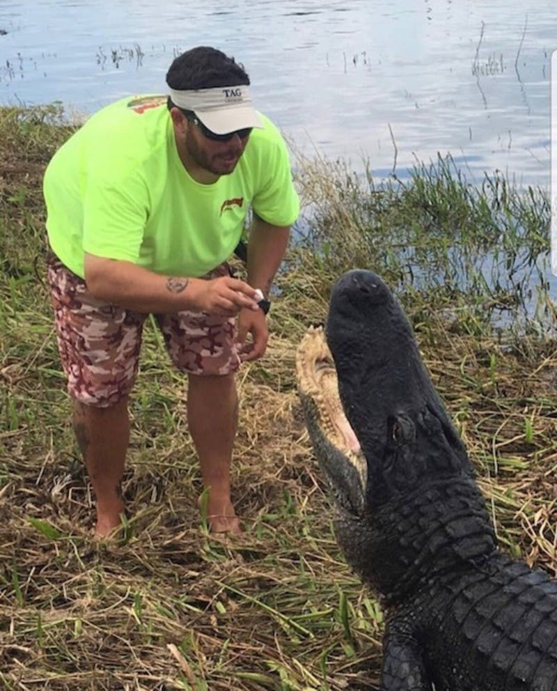 밝은 녹색 셔츠와 위장 반바지를 입은 남성이 물가 악어의 열린 입 근처에서 작은 물건을 들고 있습니다.
