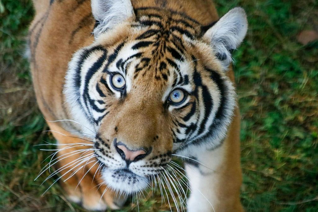 루미니사파리보호구역