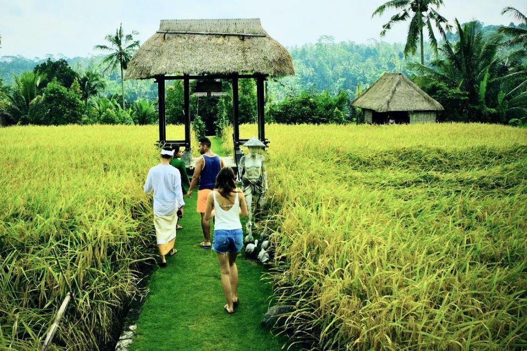 울창하고 푸른 논을 지나 초가 지붕이 있는 대문을 향해 오두막과 나무를 배경으로 길을 걷는 사람들.