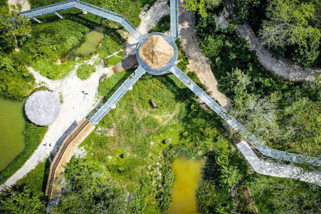 녹지와 연못으로 둘러싸인 중앙 오두막 구조에 고도가 높은 통로가 모여 있는 녹지 공원의 공중 전망.