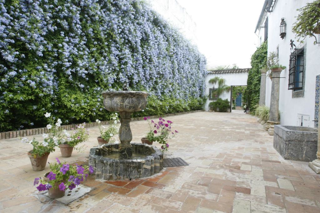 화분에 둘러싸인 중앙 석조 분수와 빽빽한 보라색 꽃 덩굴로 덮인 벽이 있는 타일 마당입니다.