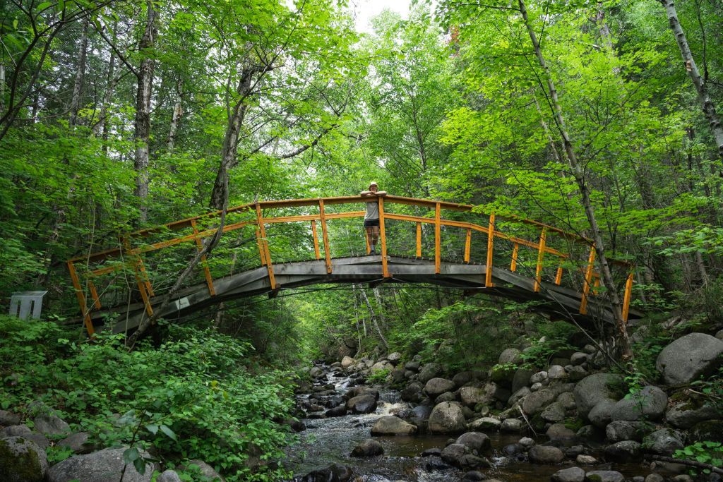 한 사람이 울창한 푸른 나무와 단풍으로 둘러싸인 바위 냇가 나무 다리에 서 있습니다.